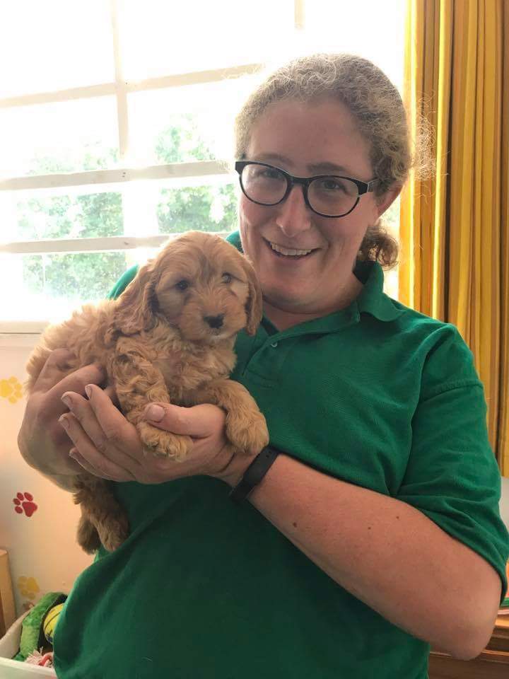 Puppy Training – starting 9th June